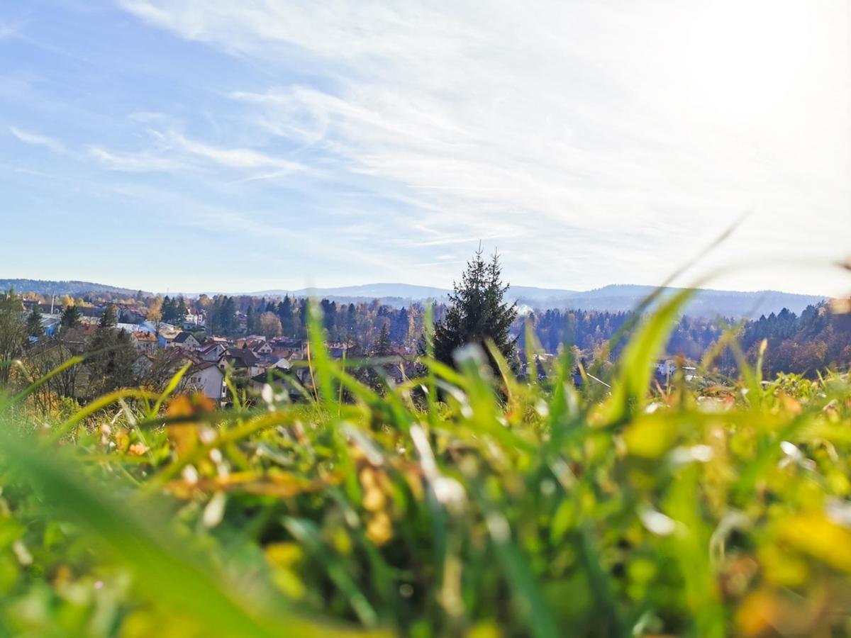 Apartament Z Widokiem Na Park Polanica-Zdroj Bagian luar foto